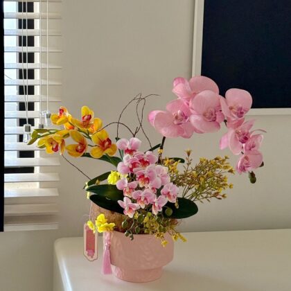 Pinkish Spring 柔粉雅韻