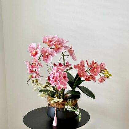 Orchid & Blush 粉韵兰庭